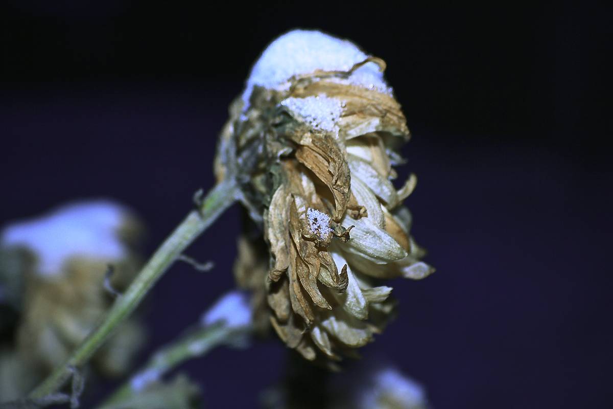 kommen im Winter ...