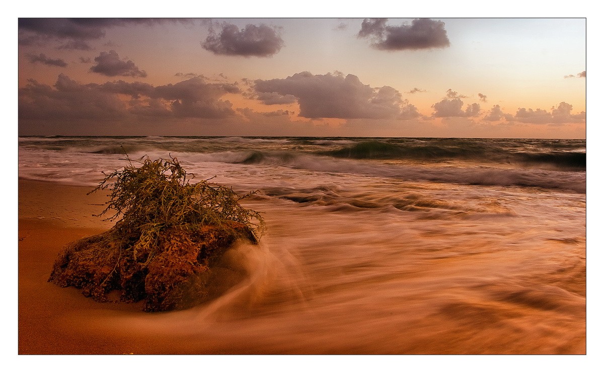 gegenüber der Welle