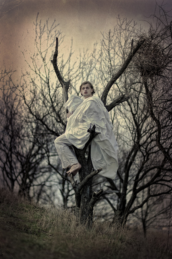 Traum von weißen Raben