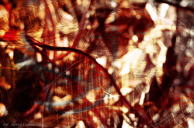 Gold Neuralgie in der Musik-Box