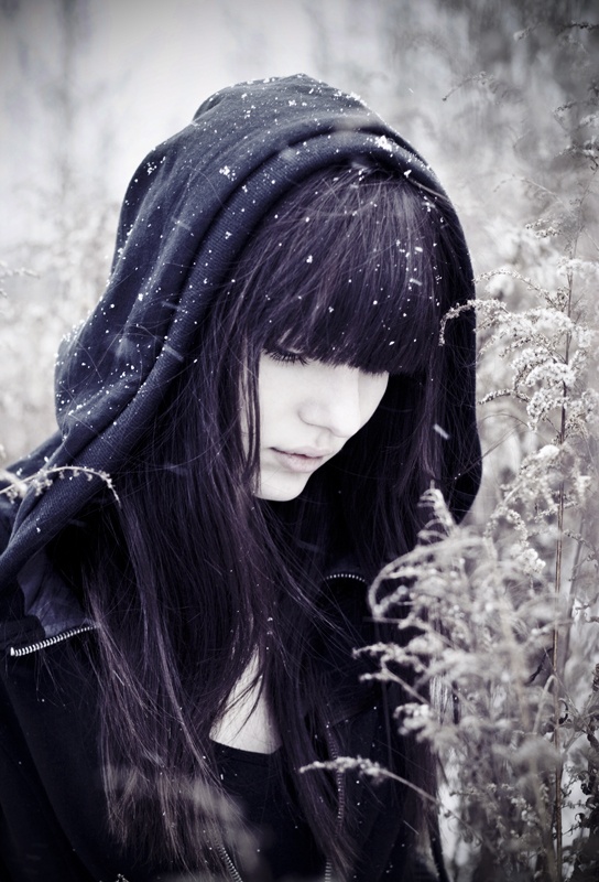 a wolf at the door. part II