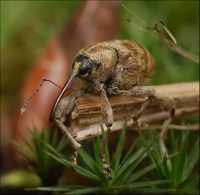 Statuten und Fotografen ...