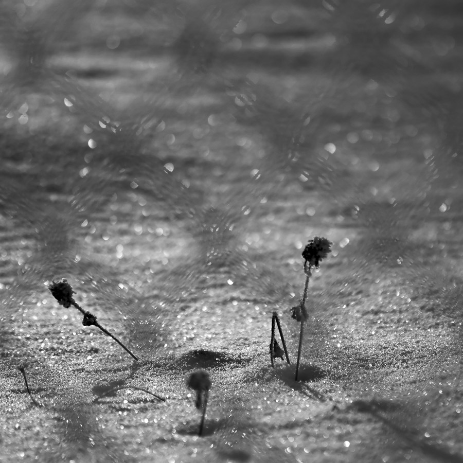 Stained-glass winter I