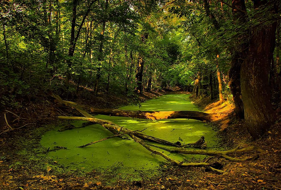 Es gibt Wunder, gibt Kobold eindringlichen!