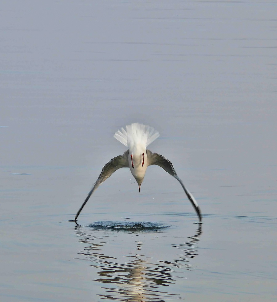 Zunächst wird der erste Angriff ...