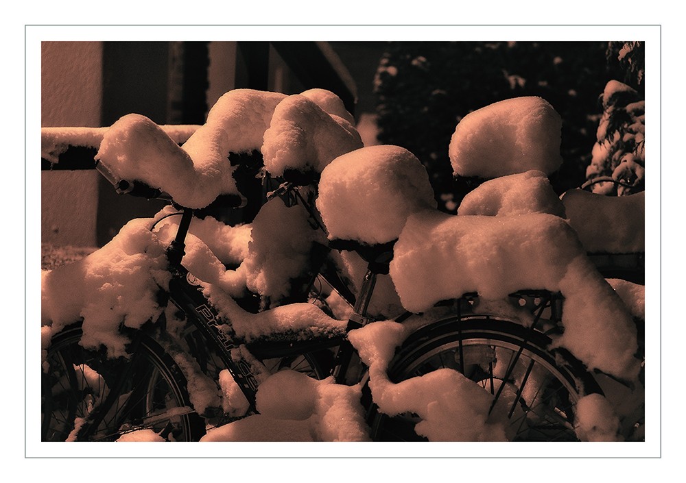 Auf der globalen ...