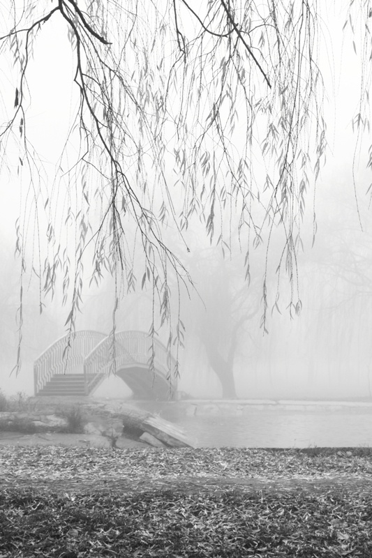Brücke im Nebel ....
