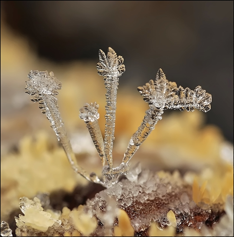 ... Er ist dreiköpfige ...