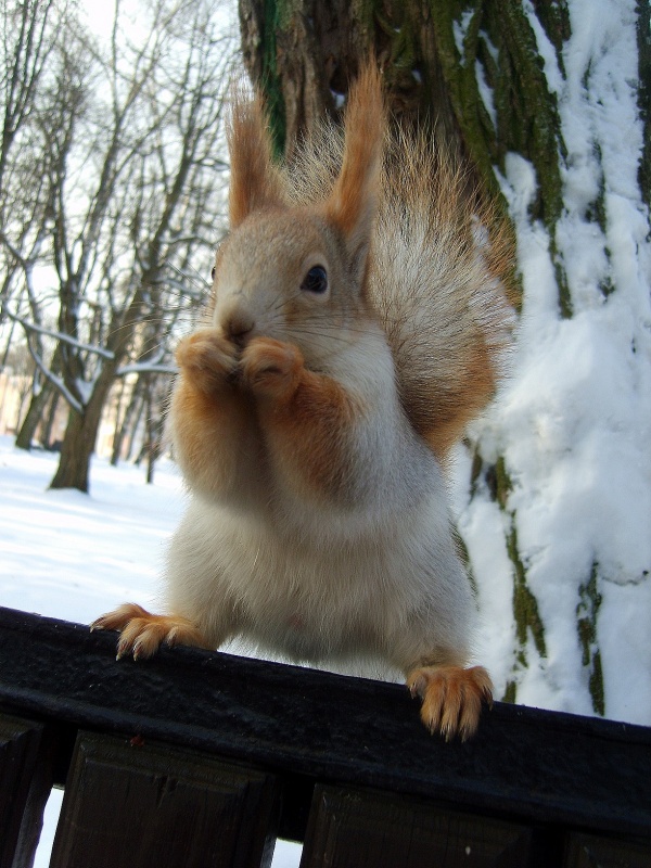 Füße schulterbreit auseinander!