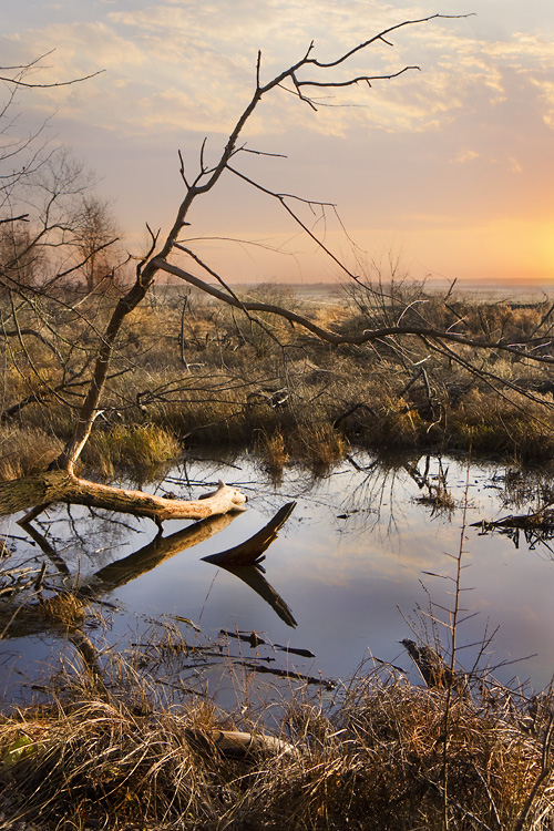 Neman Sonnenuntergänge