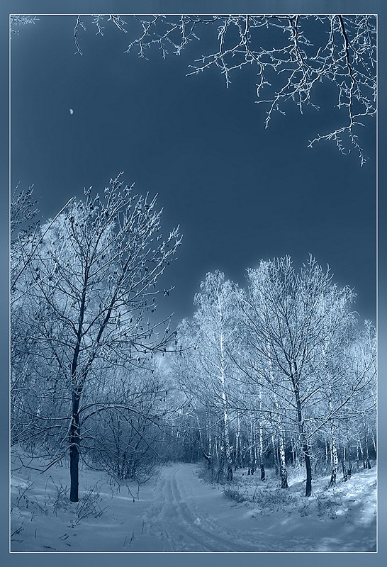 Auf dem Weg zur Schneekönigin