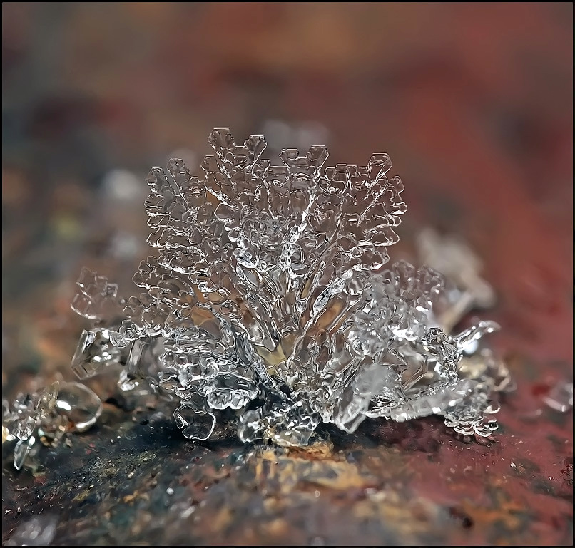 Blumenstrauß für ihr ...