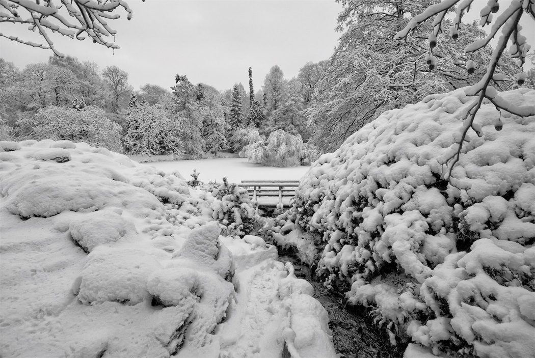 Trickle im Winter ...