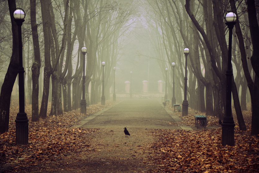 In splendid isolation