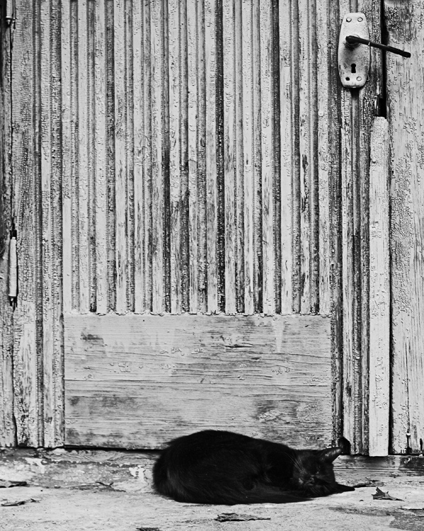 Frieden und Freiheit