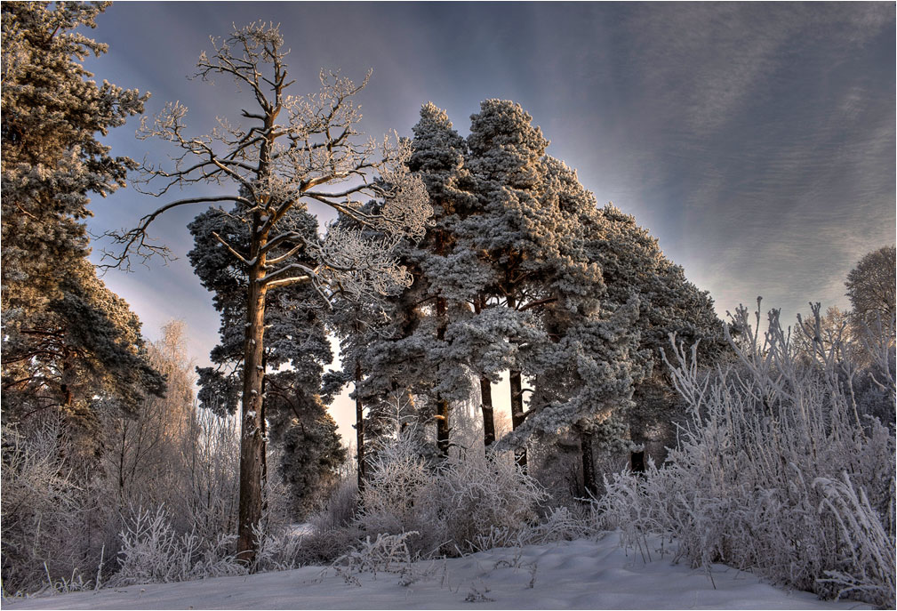 Winter Gleichstellung