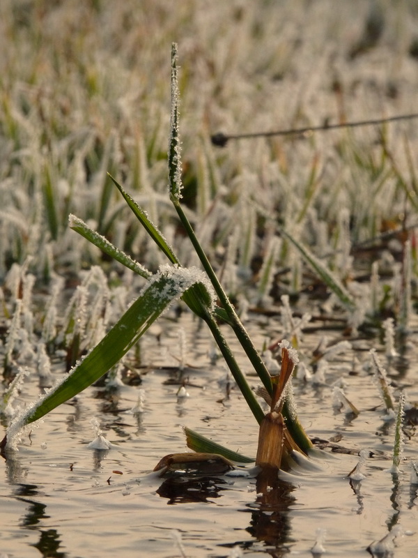 Der Winter ist gekommen ..