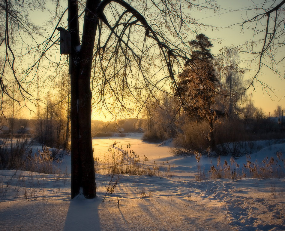Warten auf den Frühling