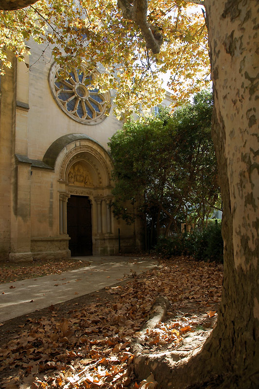 Herbst in Montpelier