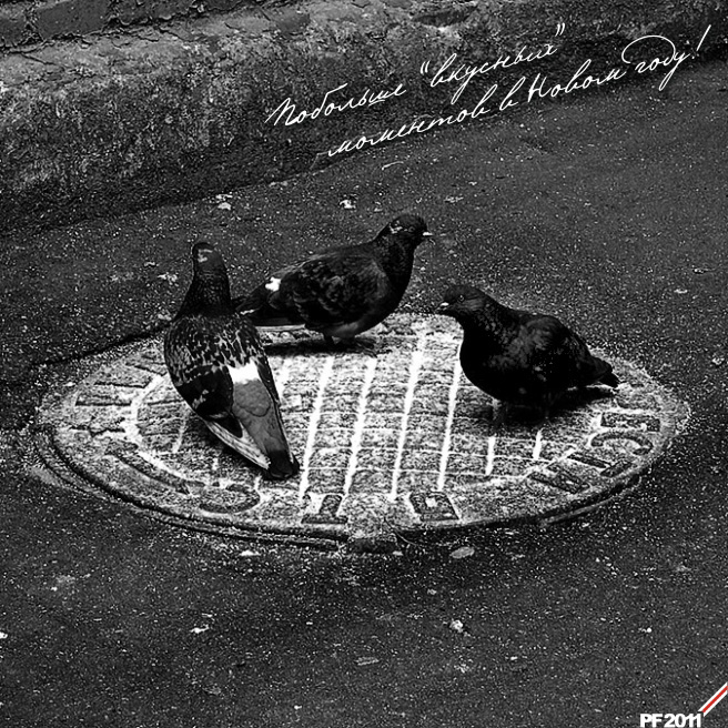 PF-2011: Wünsche Fotograf