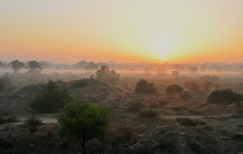 Das ist die Sonne ...