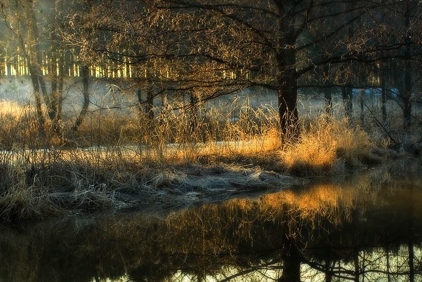 Die ersten Strahlen der