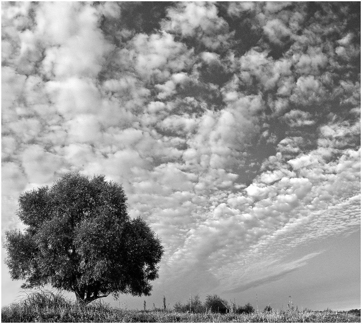 Die Umgebung in den Morgen.