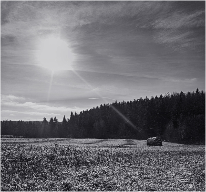 / Platz an der Sonne /