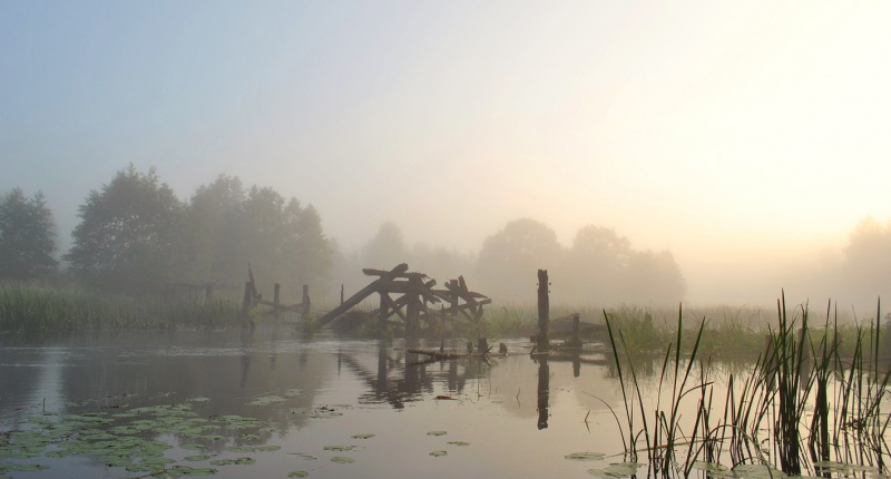 Aus einer Serie von nebligen Rhapsody