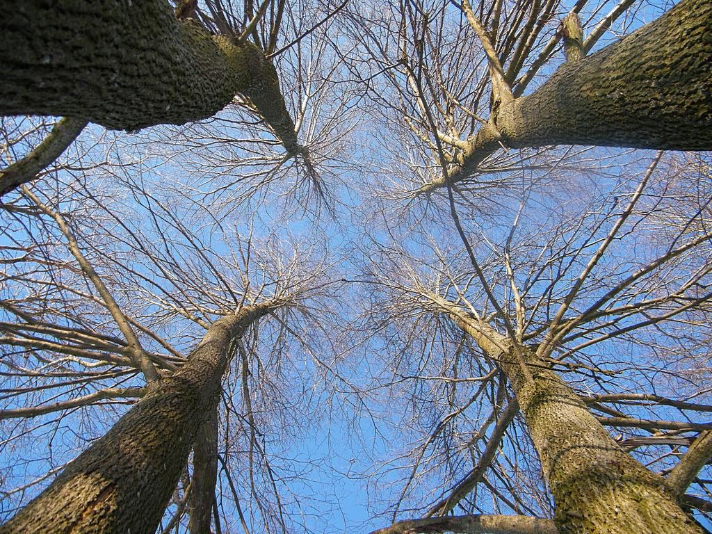 Wir sind keine Zwillinge!