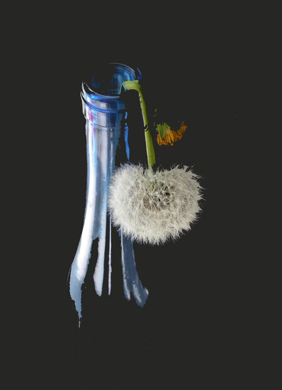 Flasche und Löwenzahn