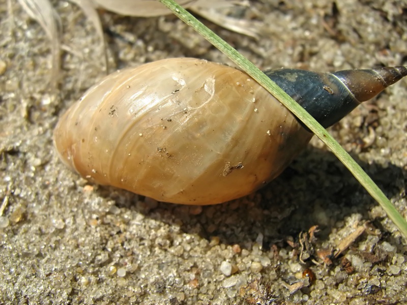 Unter der heißen Sonne