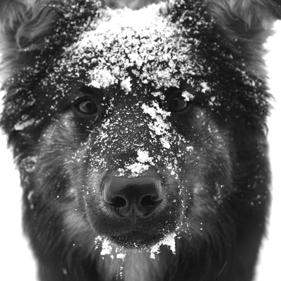 Porträt einer Unbekannten