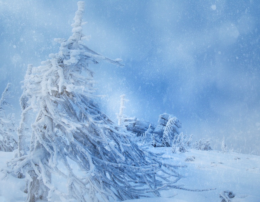 Im Reich der Schneekönigin.