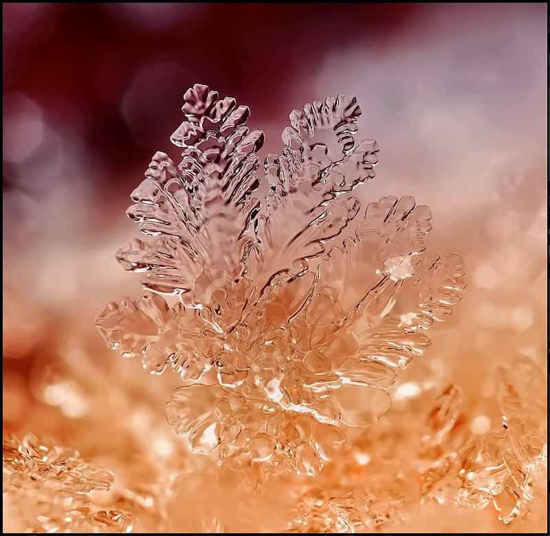 O. .. charovaniE ...