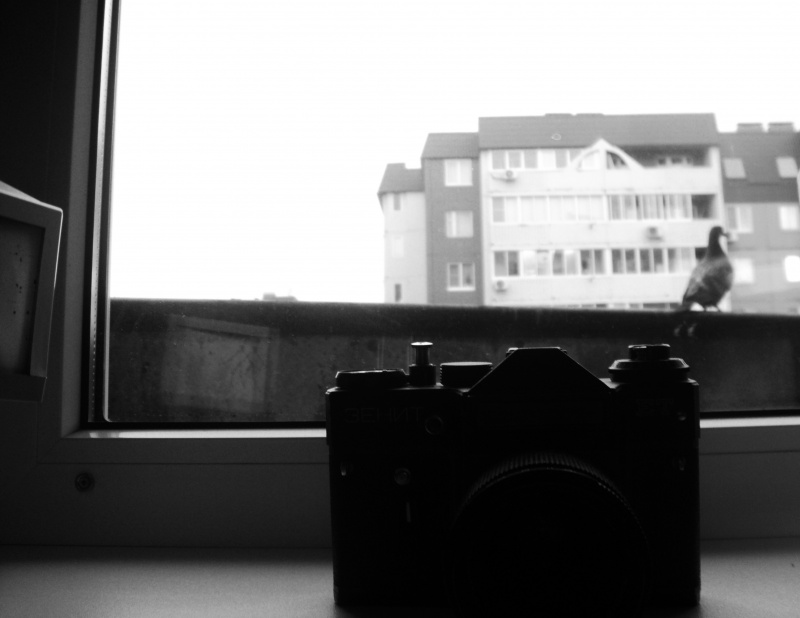 Auf der anderen Seite ..