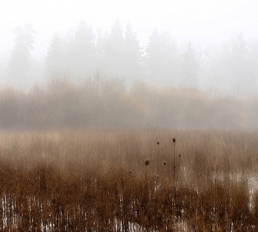 Träume ... auf der Suche nach Winter