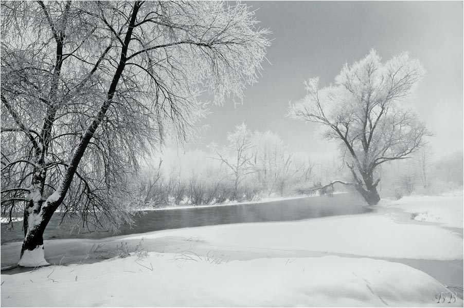 In der frostigen Nebel 2