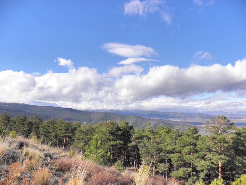 kuda vi pliviote tuci?