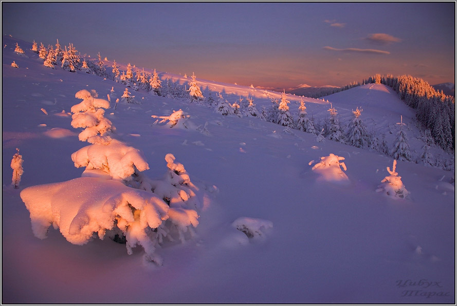 Happy New Year und frohe Weihnachten!