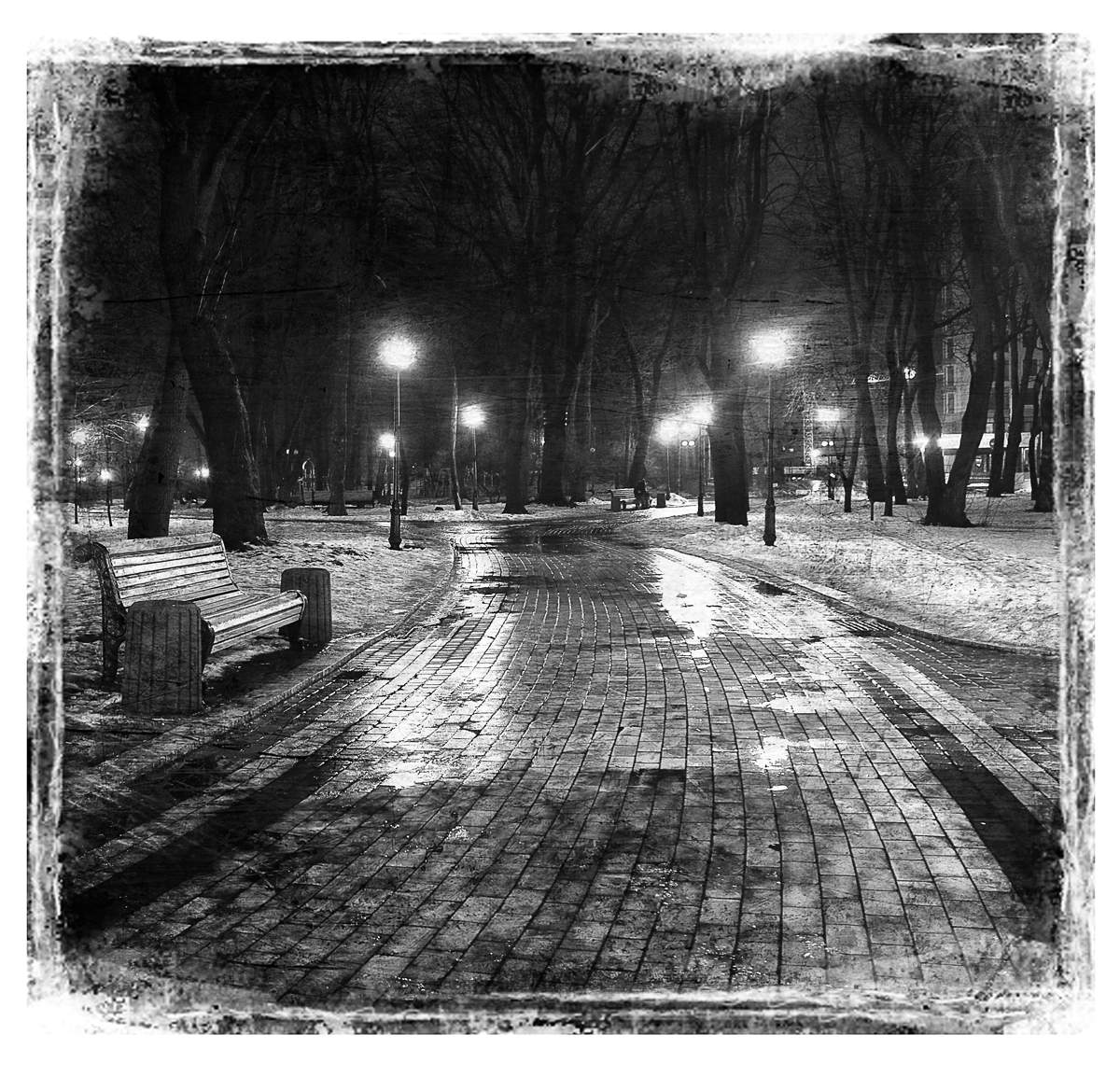 Night Park ... Vol.1