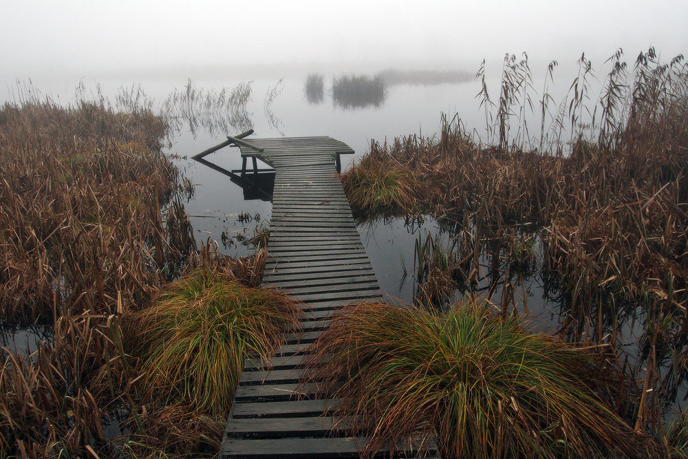 of cold fog and slippery walkways