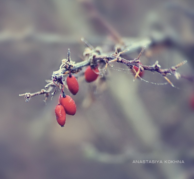 Esch nicht viel Wärme ..