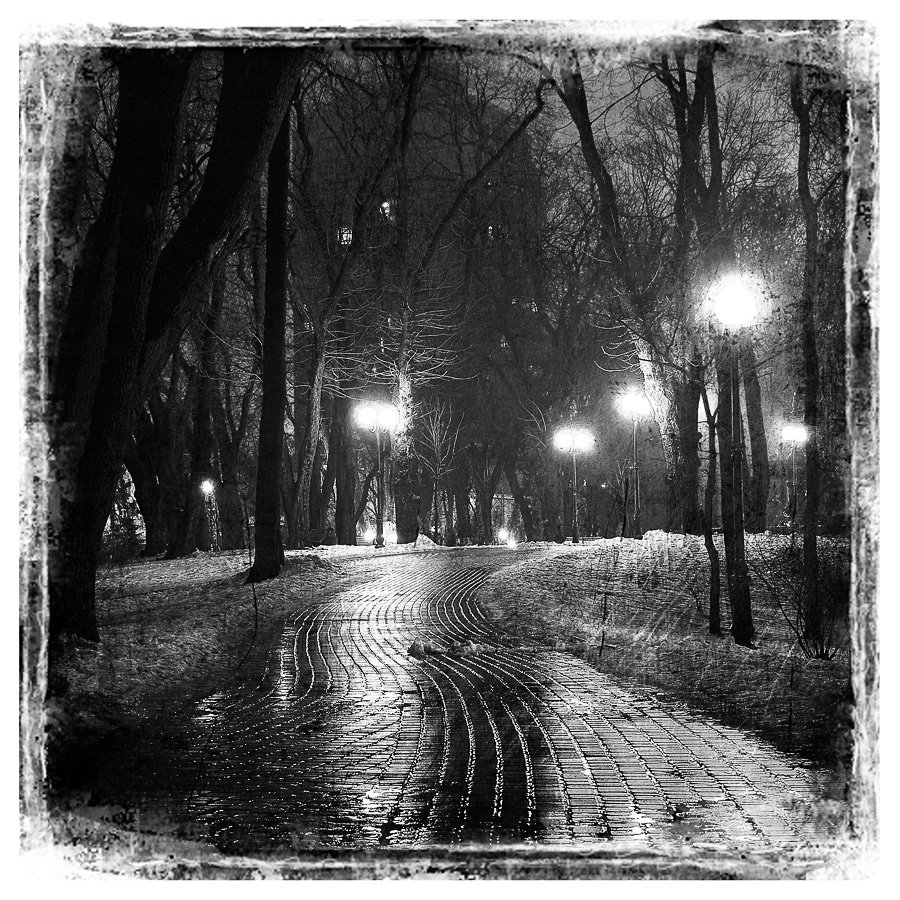 Night Park ... Vol.2