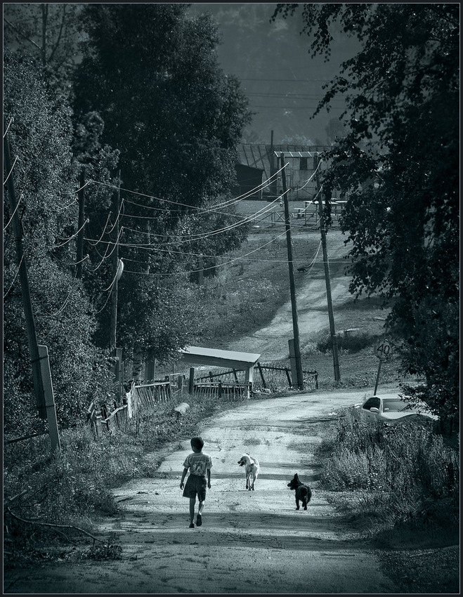 Wenn die Bäume waren groß ...