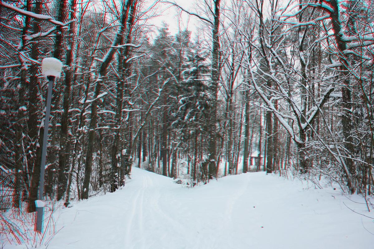 Winter 3D