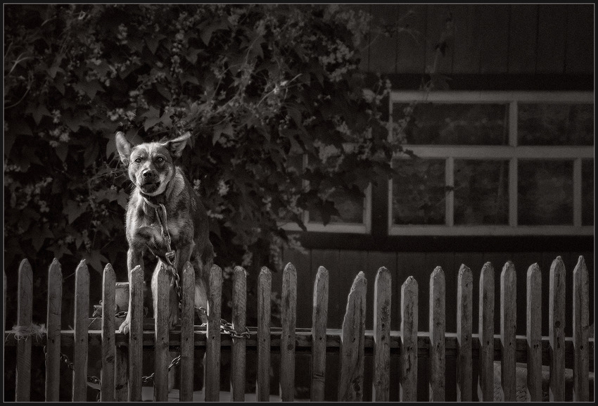 Guys, wird nicht reden ...