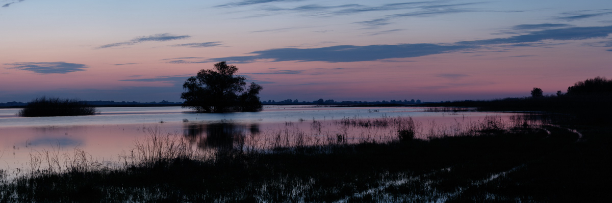 Abend zu verschütten.