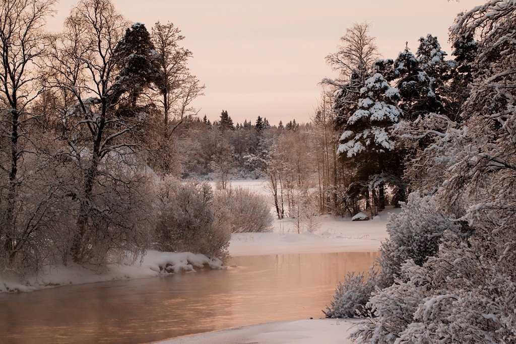 Kaffee mit Milch ...
