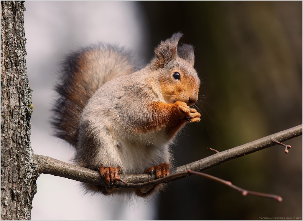 / Über ein Protein /